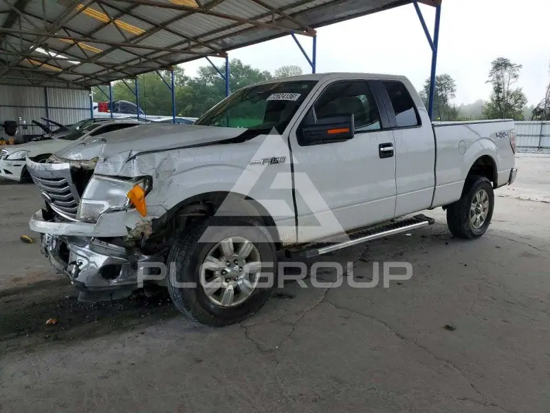 2010 Ford F-150 photo