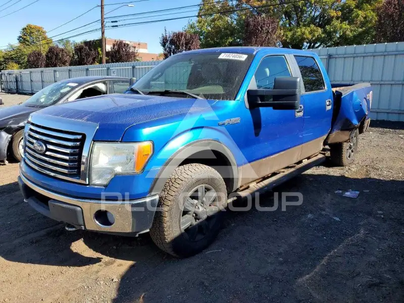 2010 Ford F-150 photo