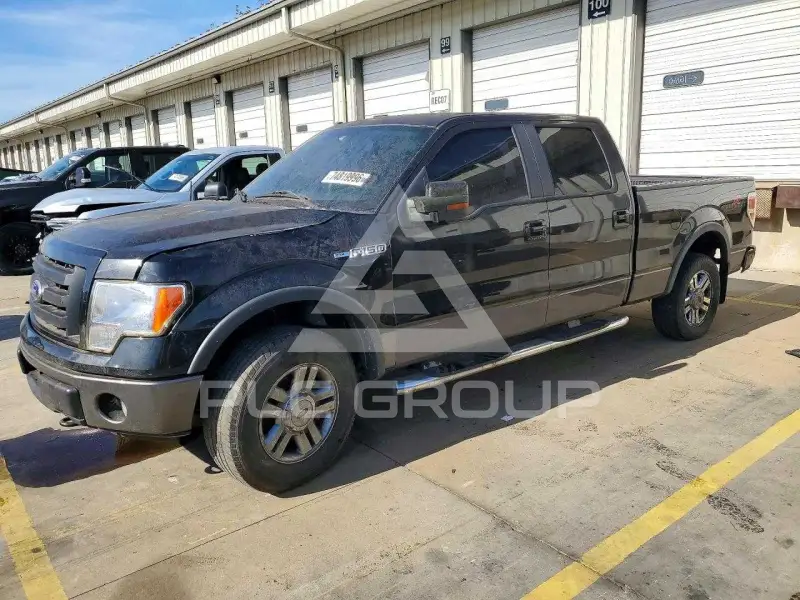 2010 Ford F-150 фото