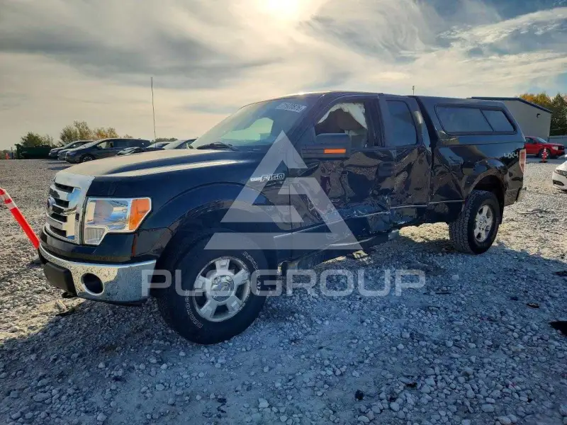 2010 Ford F-150 photo