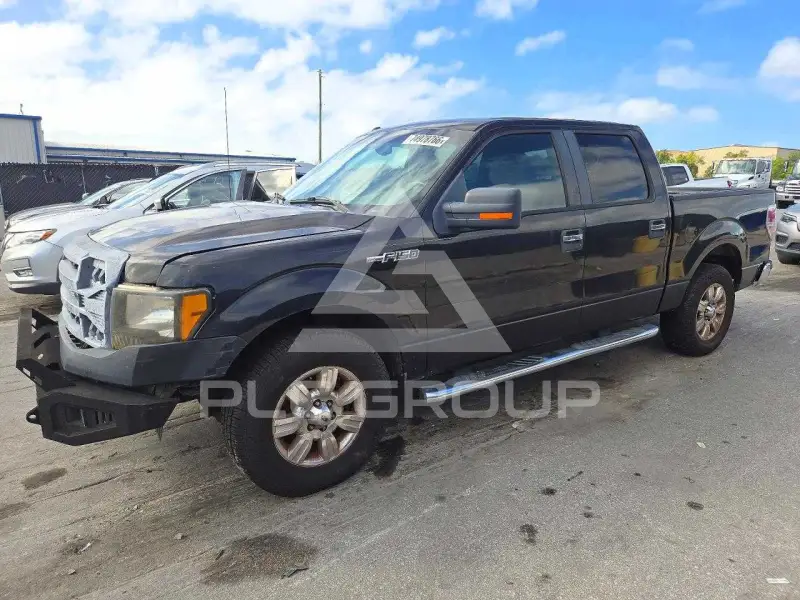 2010 Ford F-150 photo