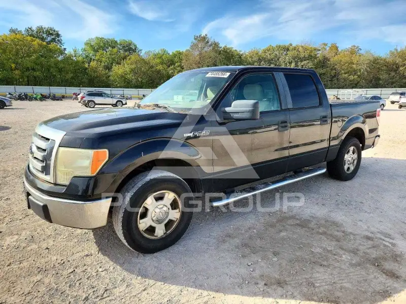 2010 Ford F-150 photo