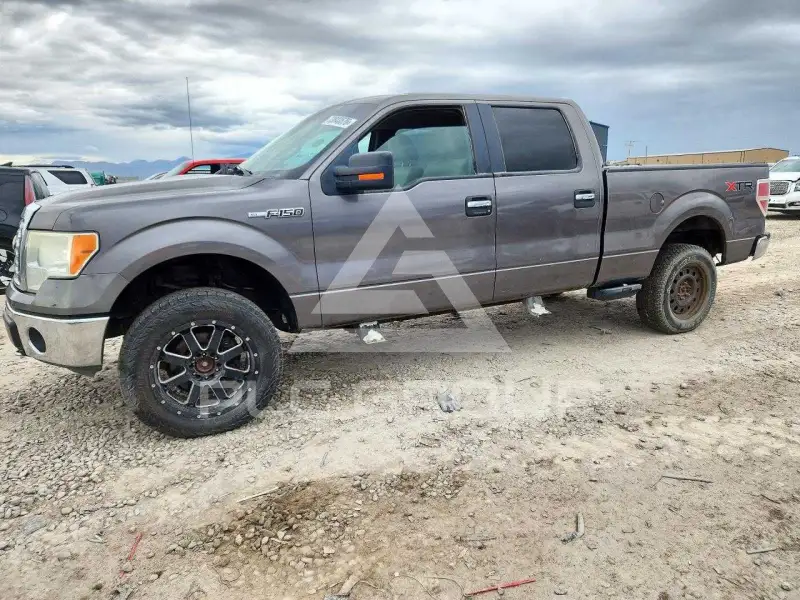 2010 Ford F-150 photo