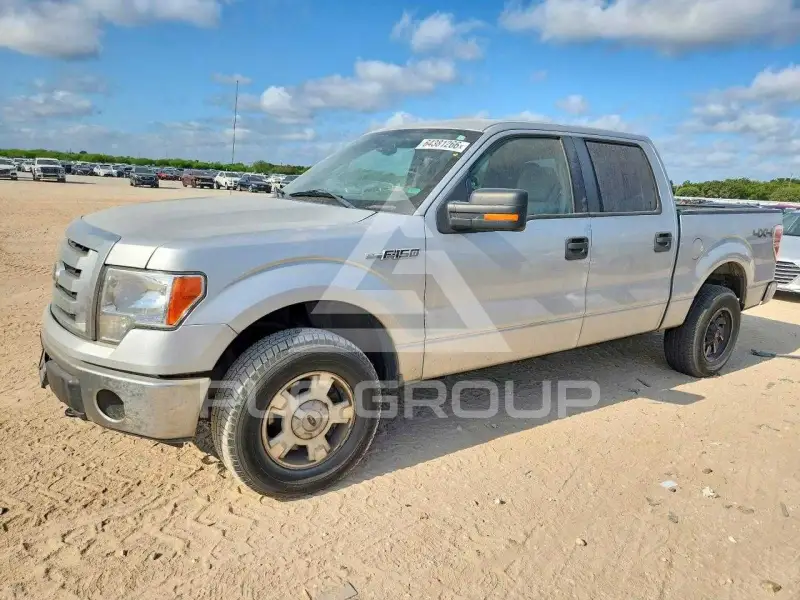 2010 Ford F-150 photo