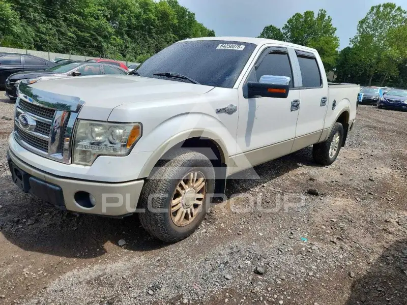 2010 Ford F-150 photo