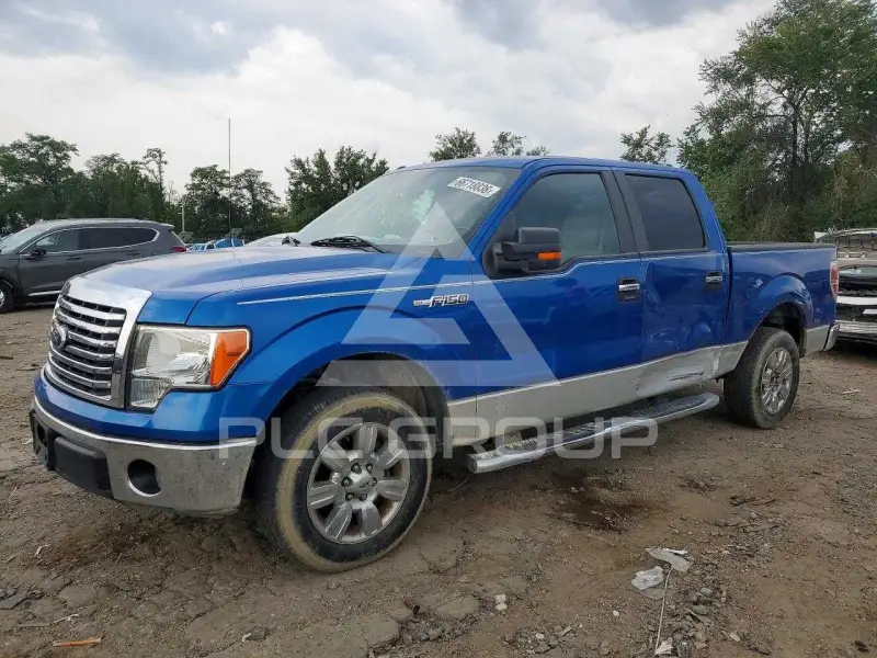 2010 Ford F-150 фото