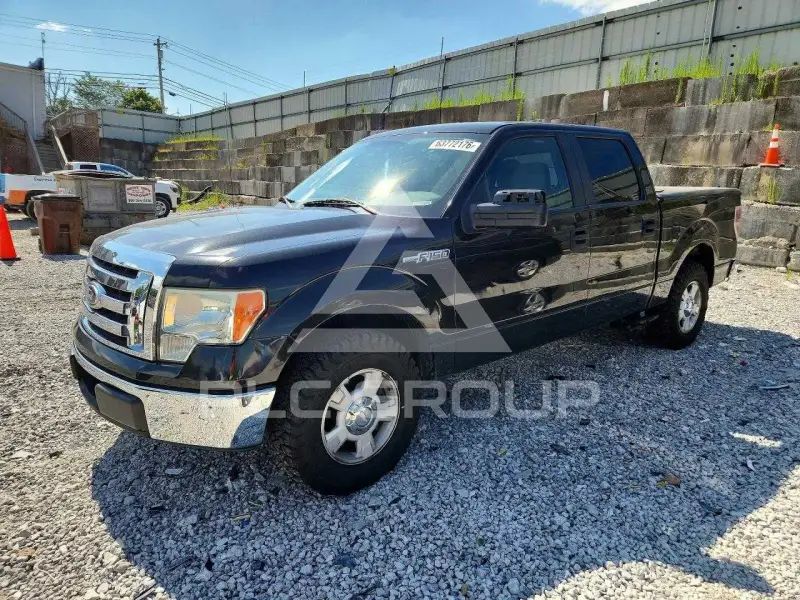 2010 Ford F-150 photo