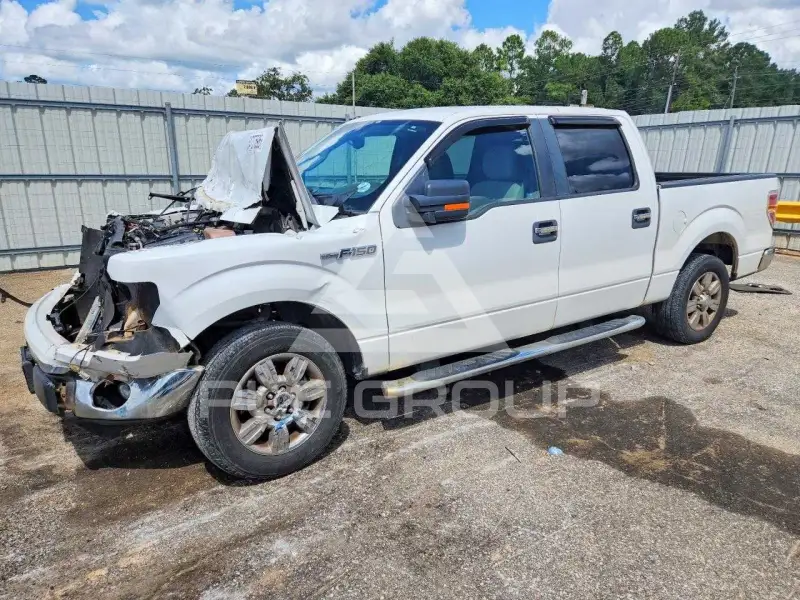 2010 Ford F-150 photo