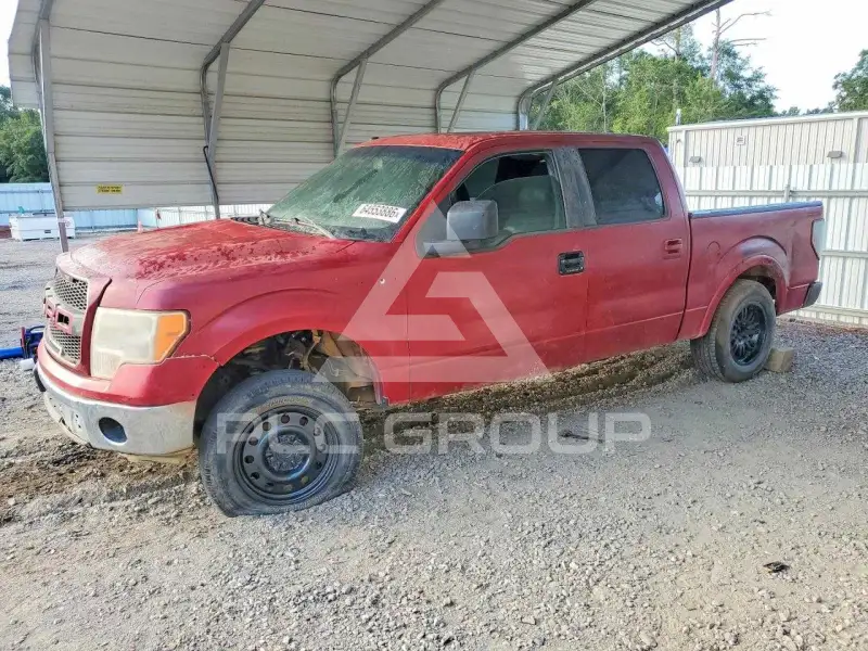 2010 Ford F-150 photo