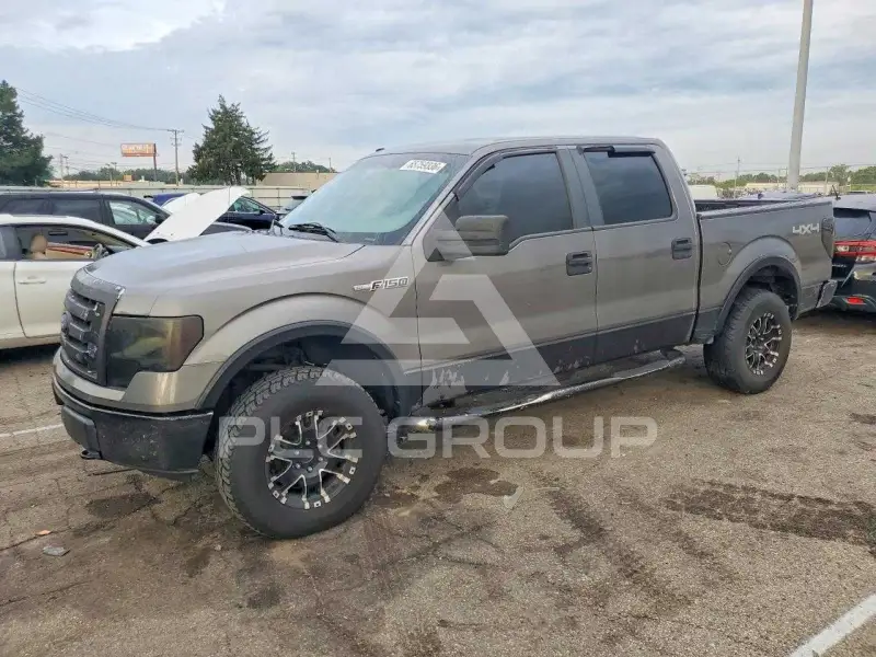 2010 Ford F-150 photo