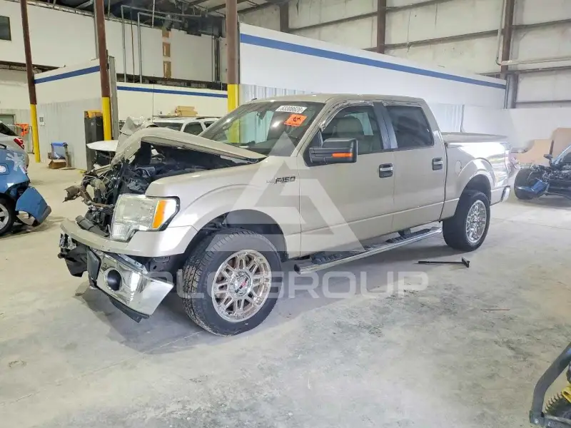 2010 Ford F-150 photo