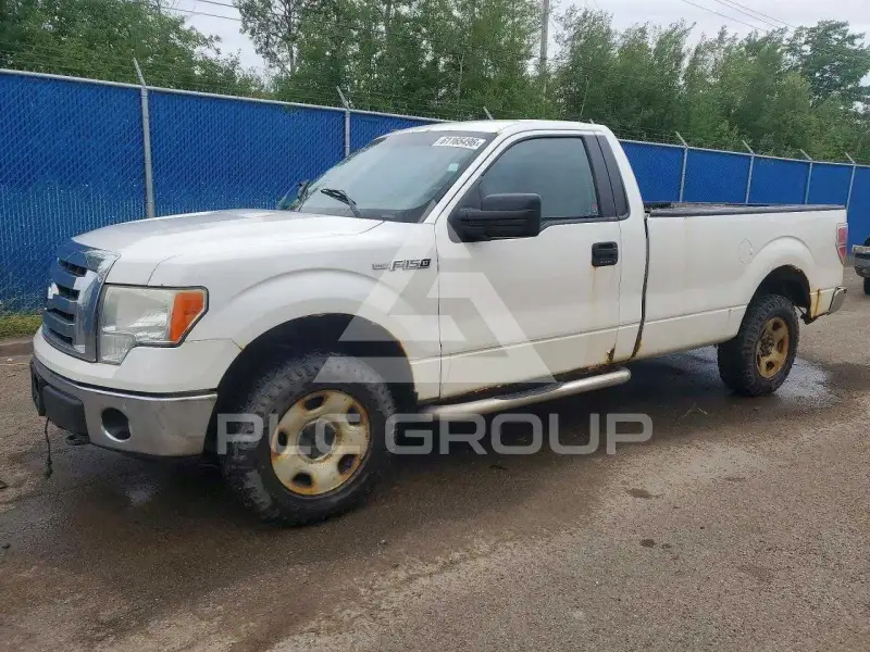 2010 Ford F-150 фото