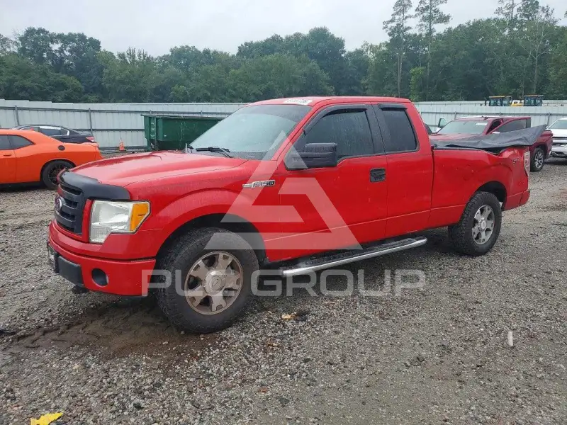 2010 Ford F-150 photo