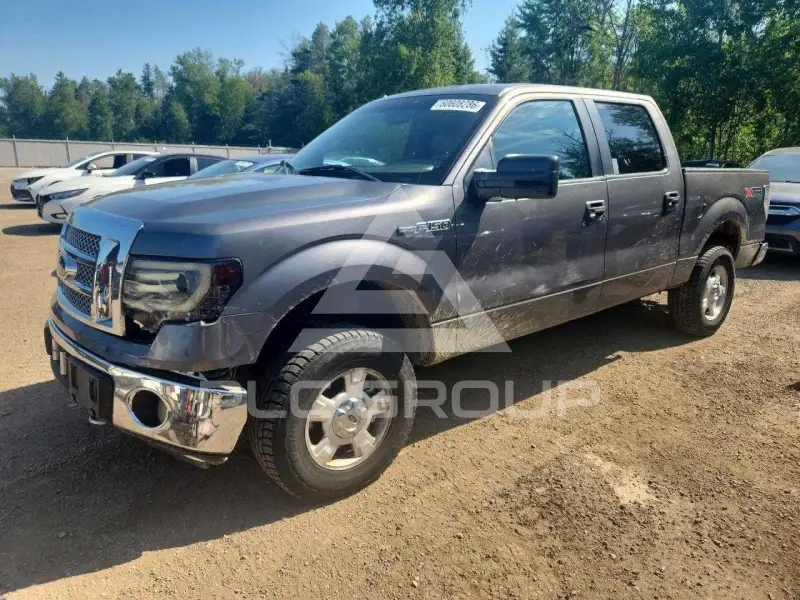2010 Ford F-150 photo