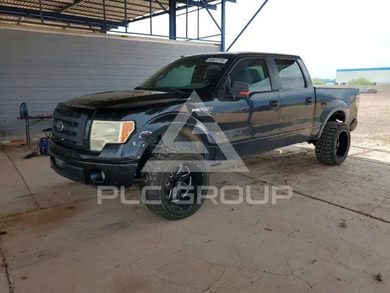 2010 Ford F-150 photo