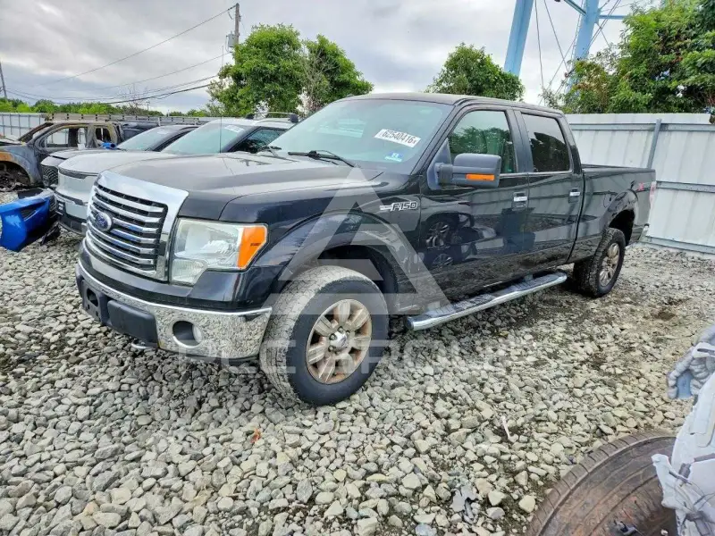 2010 Ford F-150 фото