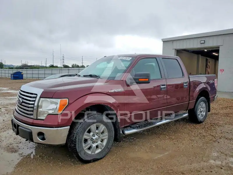 2010 Ford F-150 фото