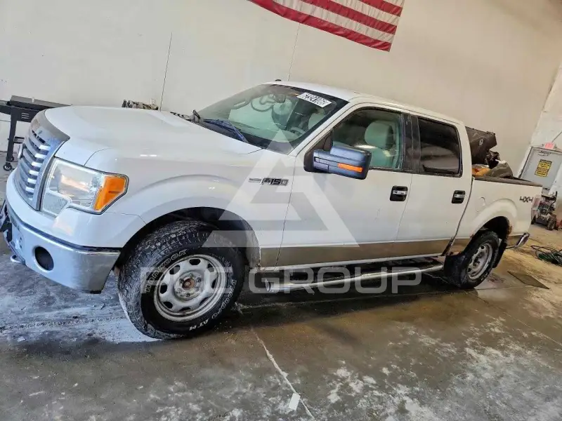 2010 Ford F-150 photo