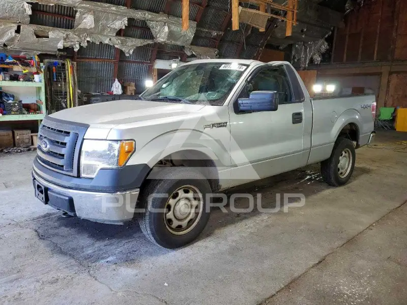 2010 Ford F-150 photo