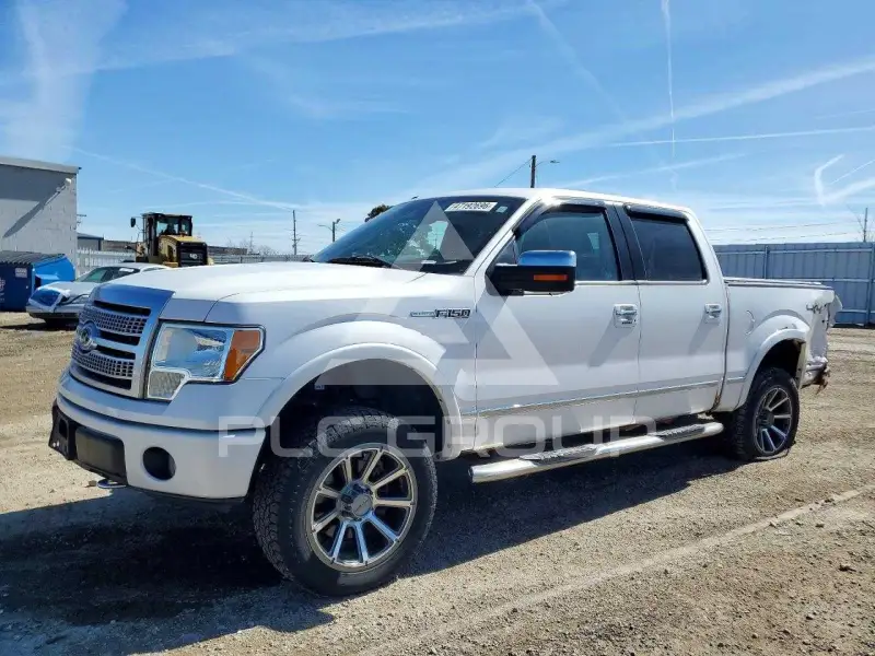 2010 Ford F-150 photo