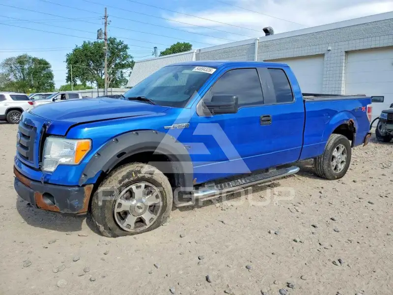 2010 Ford F-150 photo