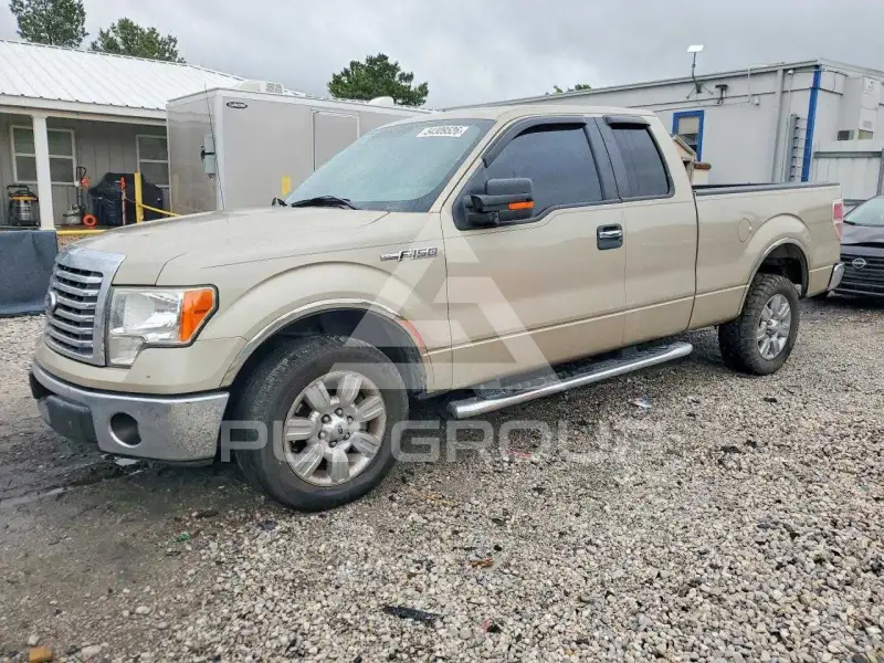 2010 Ford F-150 photo
