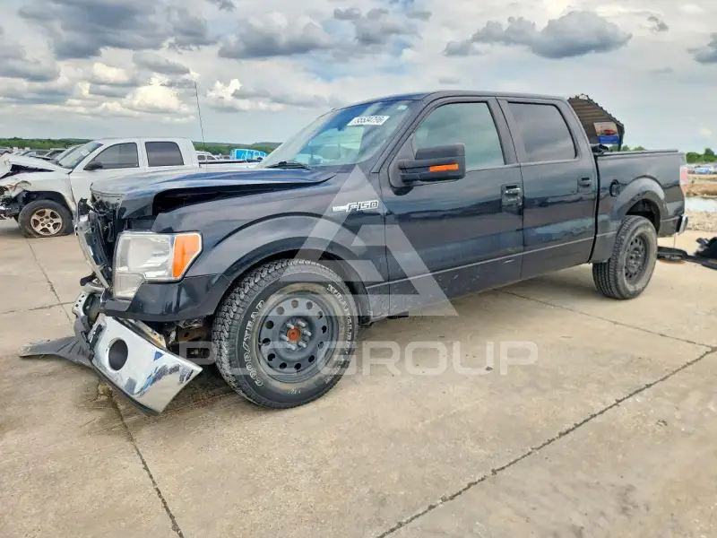 2010 Ford F-150 photo