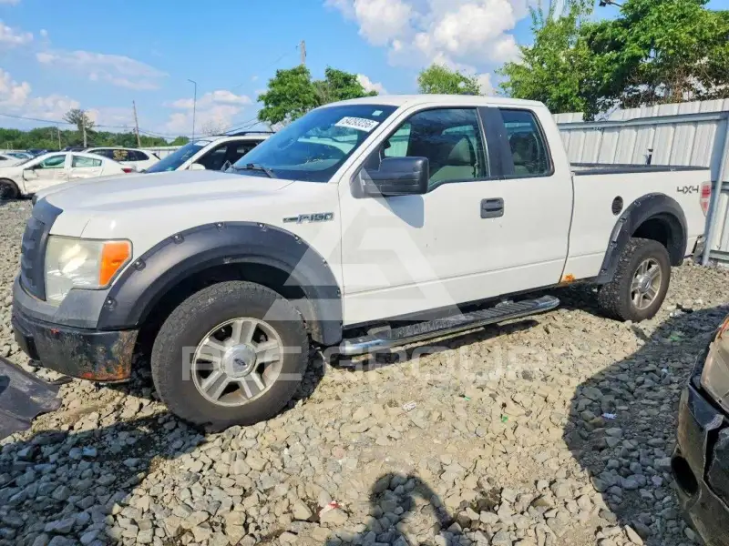 2010 Ford F-150 photo