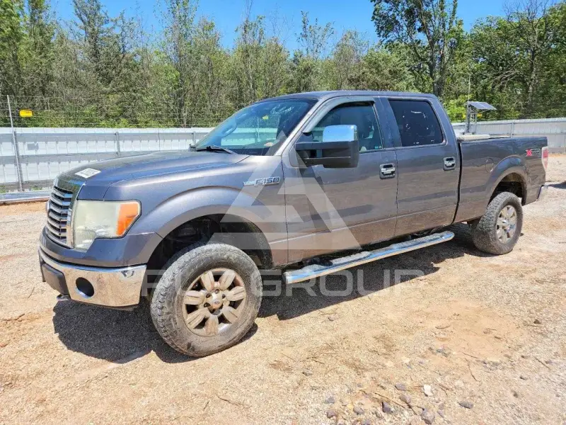 2010 Ford F-150 photo
