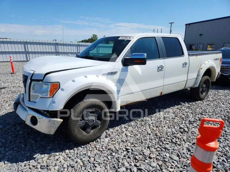 2010 Ford F-150 photo