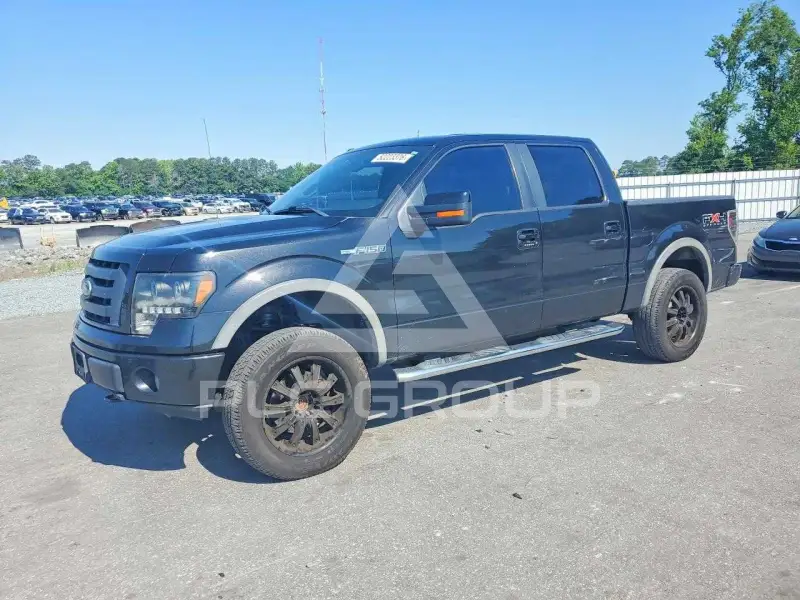 2010 Ford F-150 photo