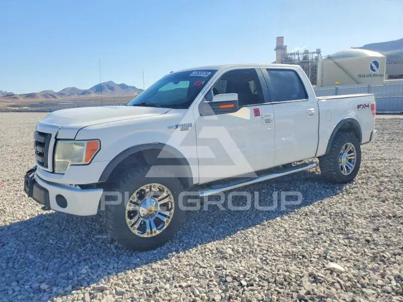 2010 Ford F-150 photo