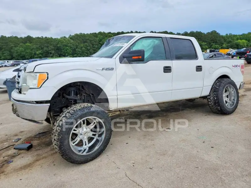 2010 Ford F-150 photo