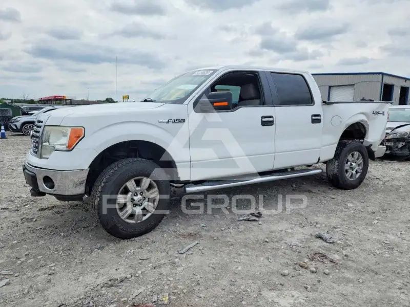 2010 Ford F-150 photo
