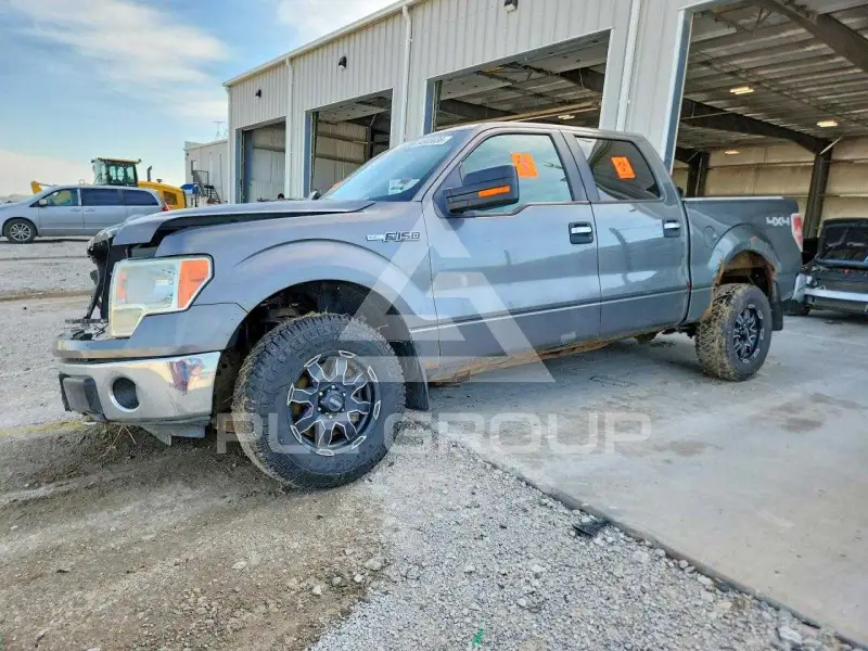 2010 Ford F-150 photo