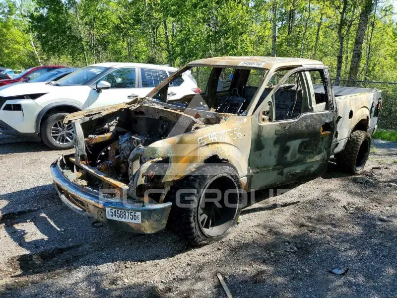 2010 Ford F-150 photo
