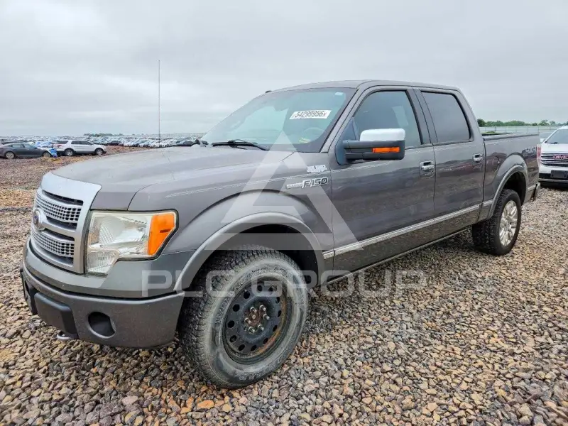 2010 Ford F-150 photo