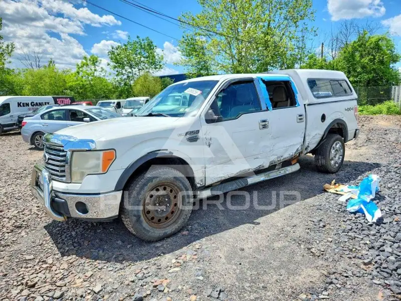 2010 Ford F-150 photo