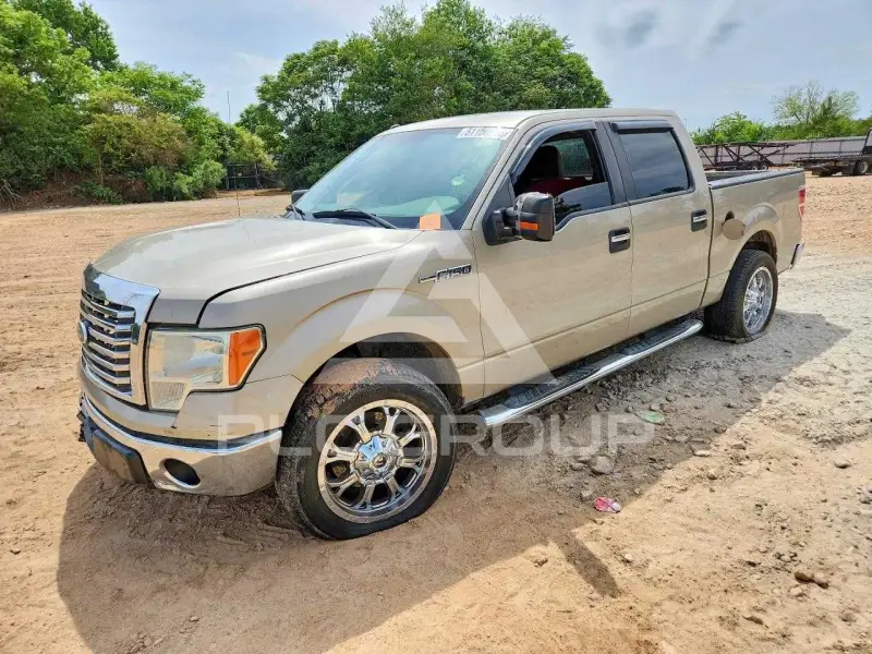 2010 Ford F-150 фото