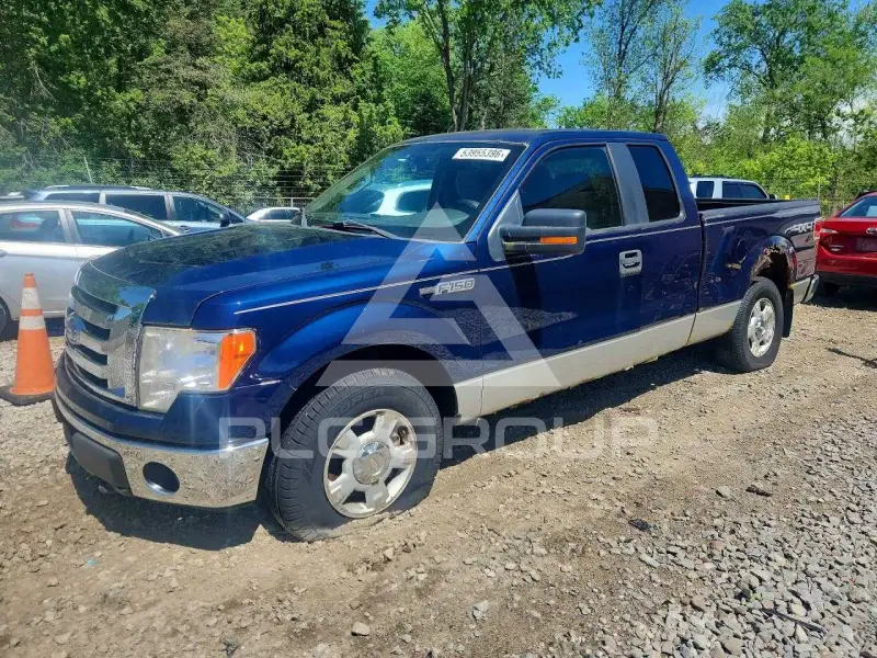 2010 Ford F-150 фото