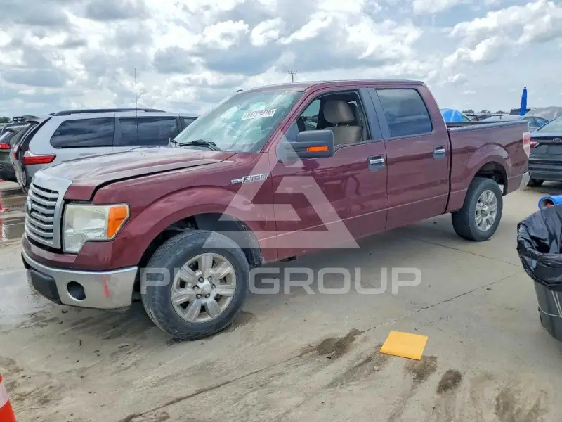 2010 Ford F-150 photo