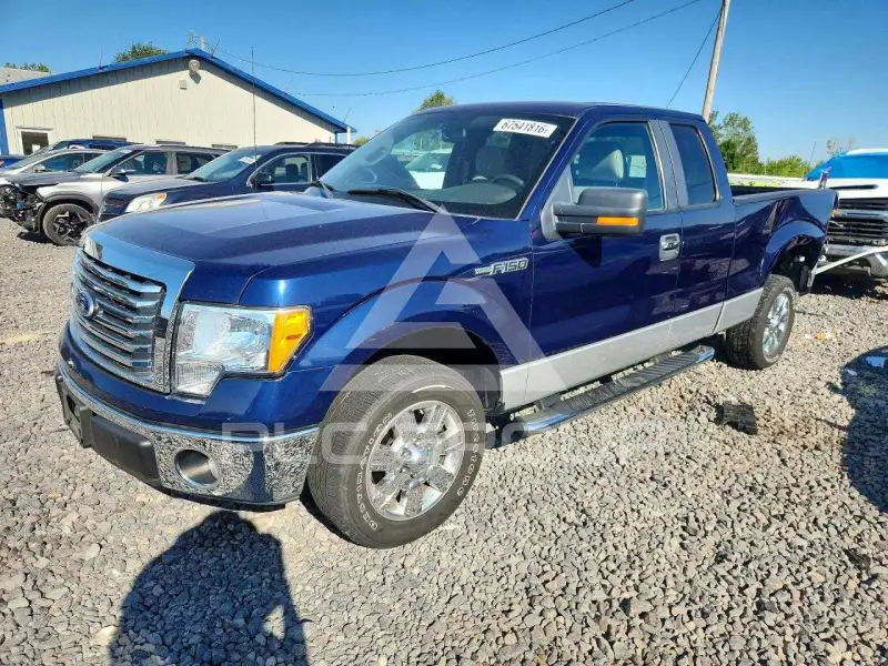 2010 Ford F-150 photo