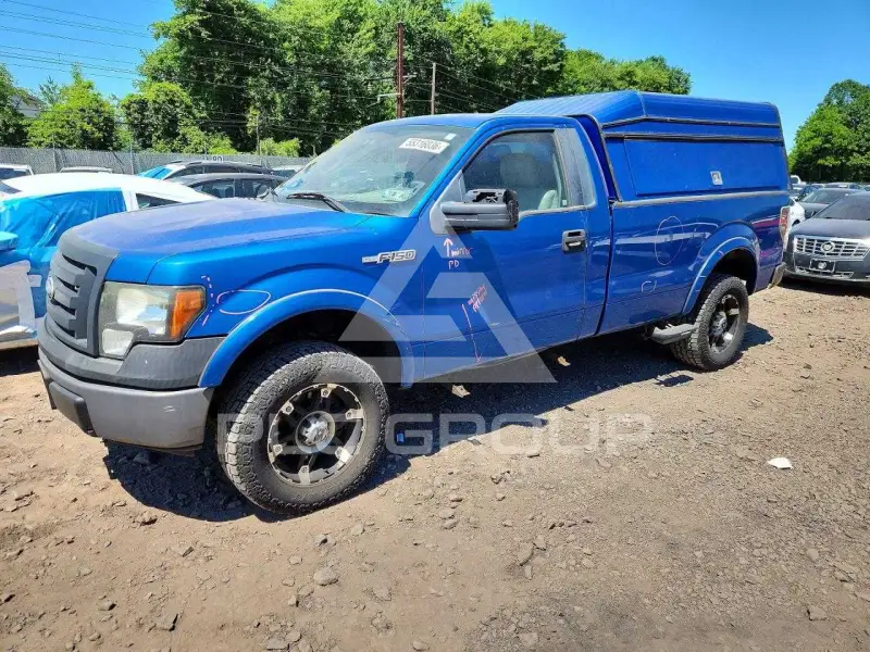 2010 Ford F-150 фото