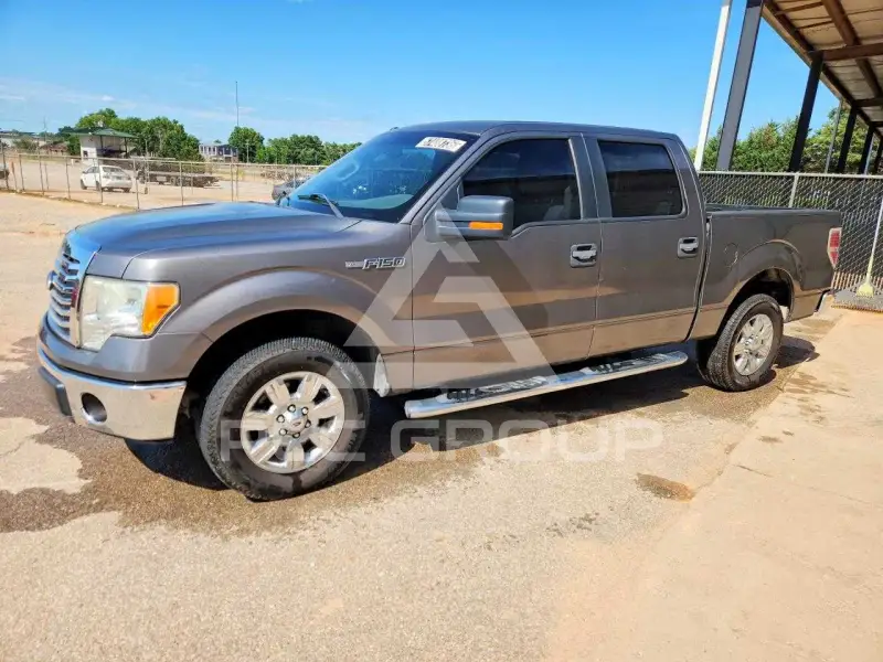 2010 Ford F-150 photo