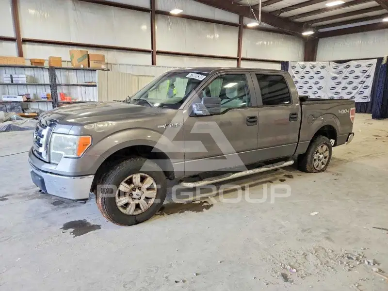 2010 Ford F-150 фото