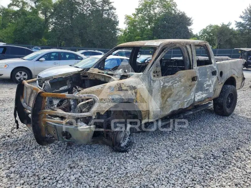 2010 Ford F-150 photo