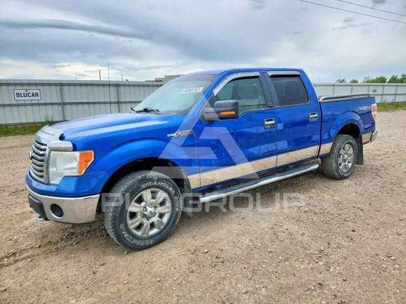 2010 Ford F-150 фото