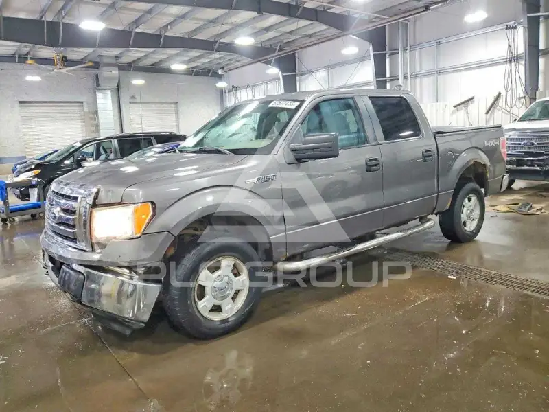 2010 Ford F-150 photo