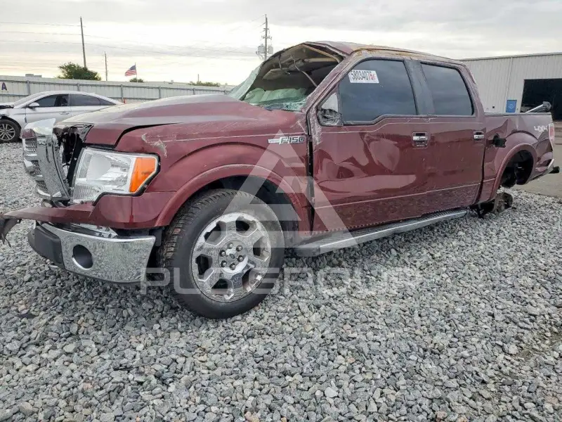 2010 Ford F-150 photo