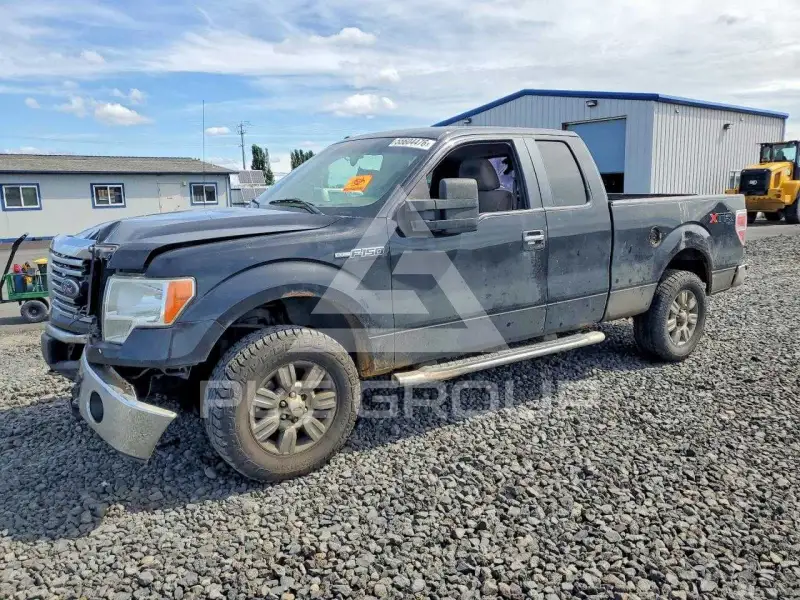 2010 Ford F-150 фото